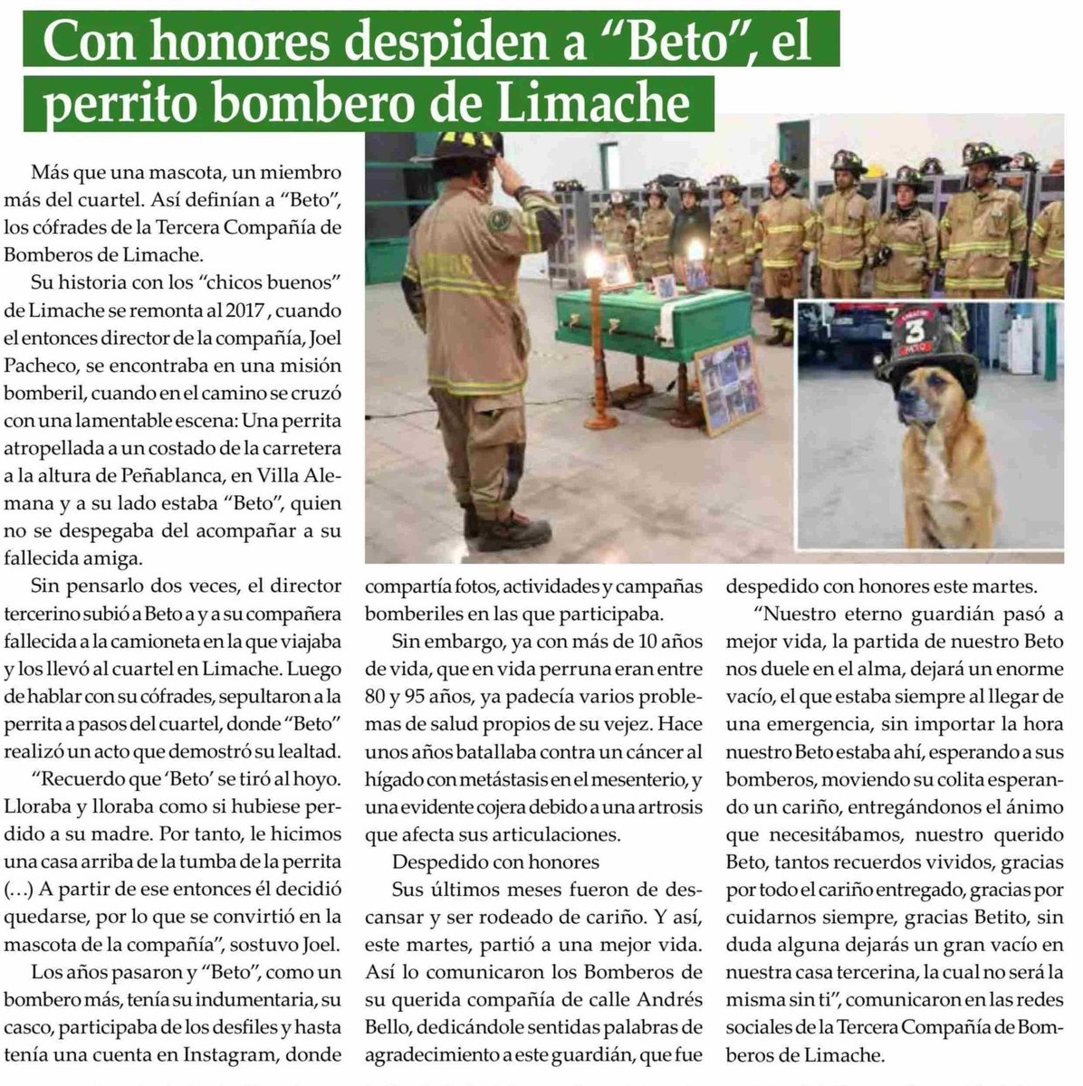 BomberosdeChile's tweet photo. 𝗣𝗥𝗘𝗡𝗦𝗔 | Con honores despiden a "Beto", el perro Bombero de #Limache 

Fuente: El Observador https://t.co/k7F5ZgHoPQ