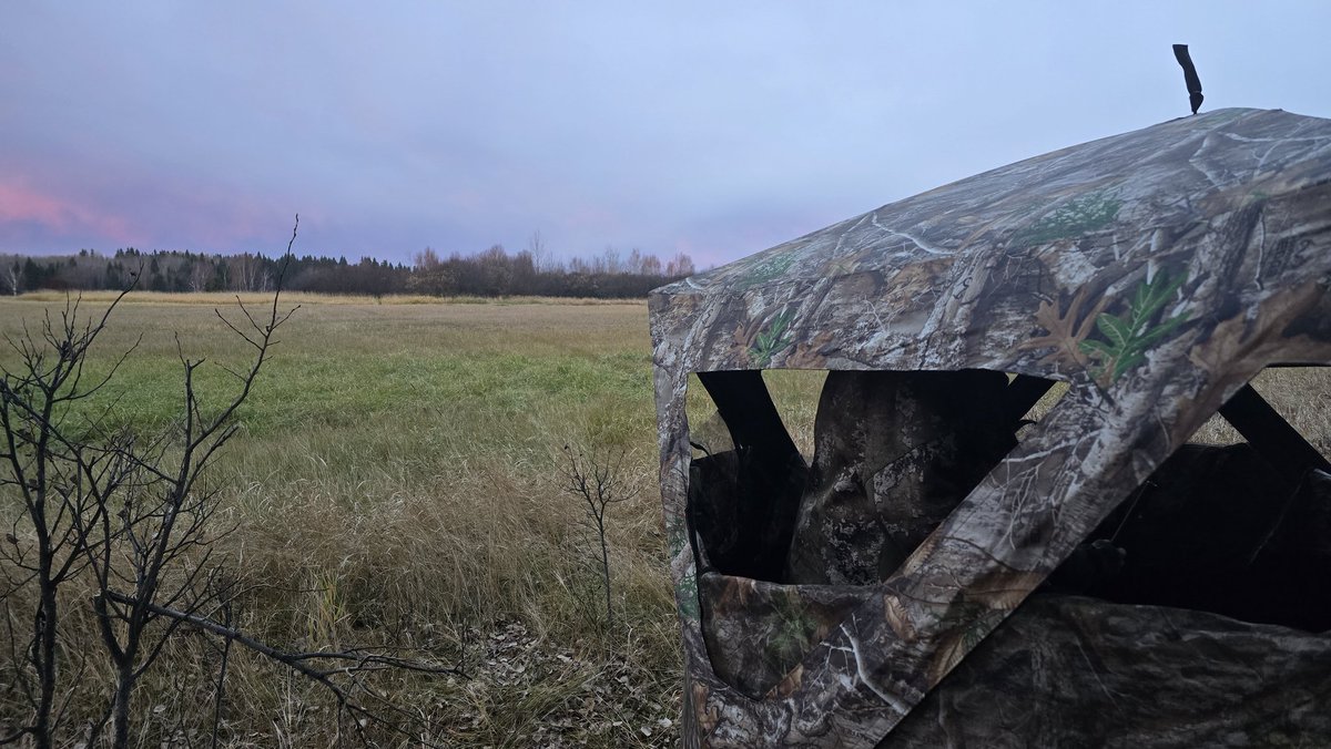 dc__outdoors's tweet photo. Last Saturday morning.
. . .
Settled in the blind with the squad & hoping to see some Whitetail Deer.
#hunt #hunter #bowhunter #archery #Whitetaildeer #Deer #outdoors #DCOUTDOORS #snacksquad #teamsnacks #youtube #youtuber #subscribe https://t.co/aaR3rmygpW