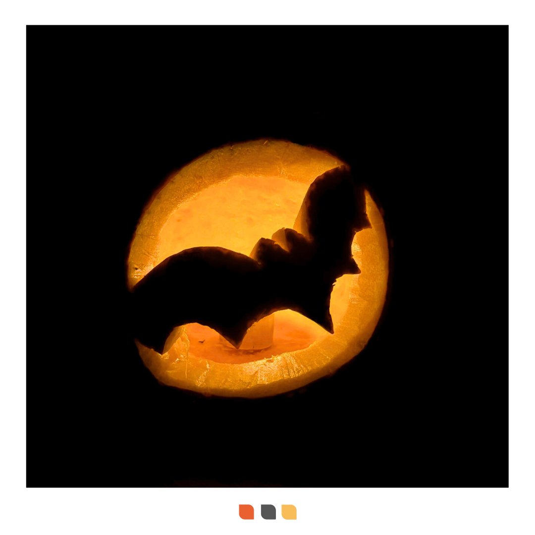 Creationz Marketing tweet media