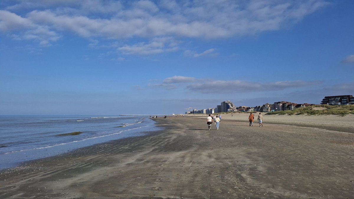 Bart Meert tweet media