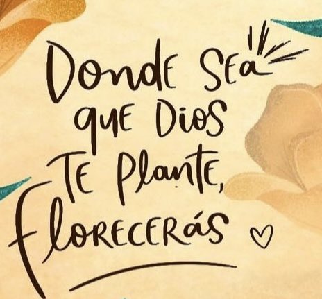 CarlosVictorM's tweet photo. Feliz feriado 😊!! https://t.co/sUyByIeJ9n