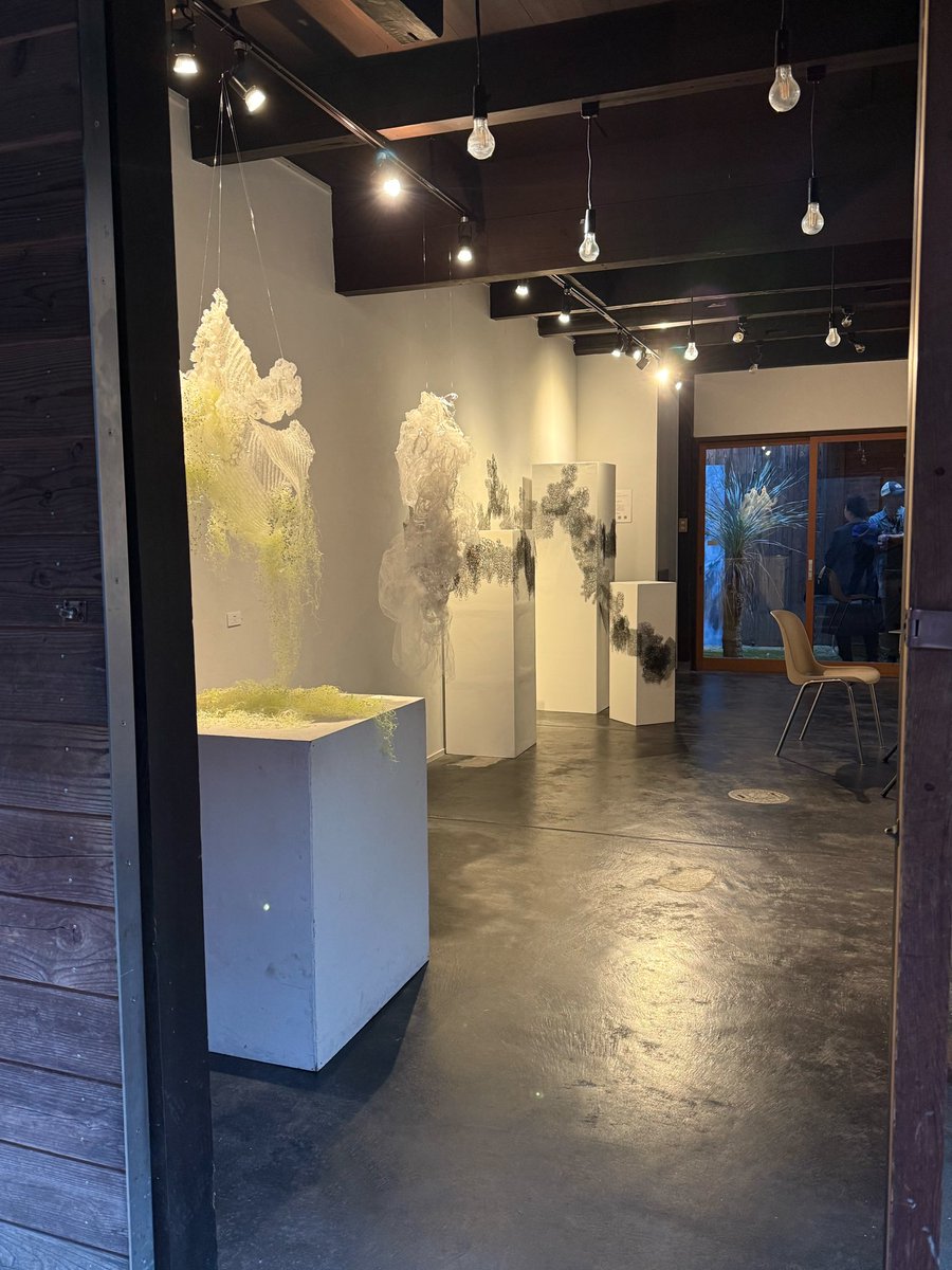 sak_copa's tweet photo. 三人展「こびりつく場所、たゆたう存在」
会期終了しました。
SNS活用が下手くそすぎて終了報告になっちゃいました。
いろんな発見があったり、改めて手仕事の楽しさを知ったり、実りある5日間でした。
お越しくださった皆様ありがとうございました。
これからも、ぼちぼちと制作続けていきたいです🙌🏻 https://t.co/9Hs1T5VvXs