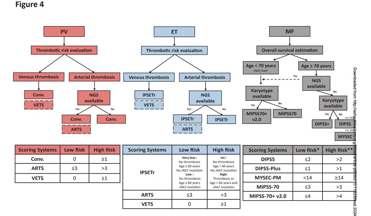 Anand_88_Patel's tweet image. A comprehensive review in @BloodJournal on risk stratification/scoring in MPNs
ashpublications.org/blood/article/…