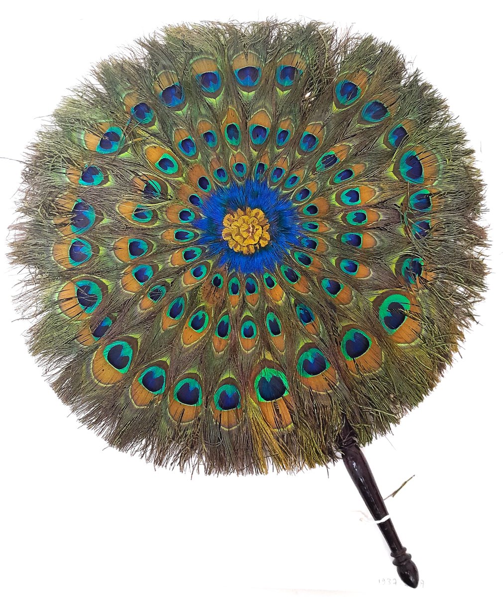 ConservationBob's tweet image. Ipswich Museum. Conservation for redevelopment. Beaded leather apron cleaned with Synperonic detergent and boxed ready for redisplay. Fragile peacock feather fan repackaged. Fan is shedding feather parts. Unfortunately little can be done except to carefully store and display.