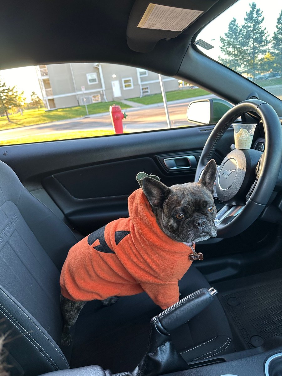 Ford Quebec tweet media