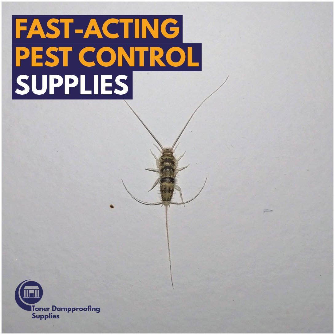 #Halloween DIY Tip! 🎃 Prevent creepy crawlies with NOPE! Your home doesn’t need unexpected “visitors”!
👉 Browse our products: tonerdampproofingsupplies.co.uk/product-catego…
 #DampProofing #Waterproofing #HomeTips