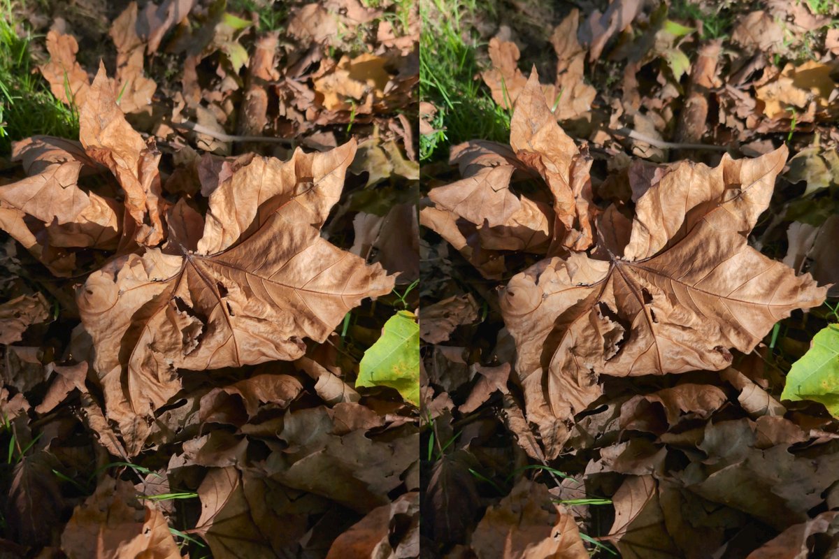 Parth3D's tweet photo. Looks like all the leaves are falling, so that must mean that Winter's calling 😁 #3D #stereoscopic #minipoem https://t.co/0UtY84WTFM