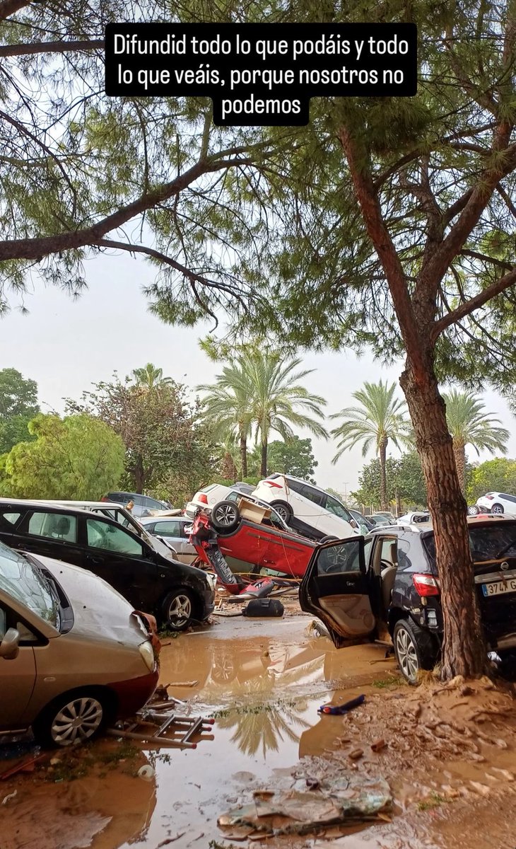 historias de una chica de mi facultad, difundid por favor 🙏🏼 pueblos como Catarroja están totalmente incomunicados y desatendidos