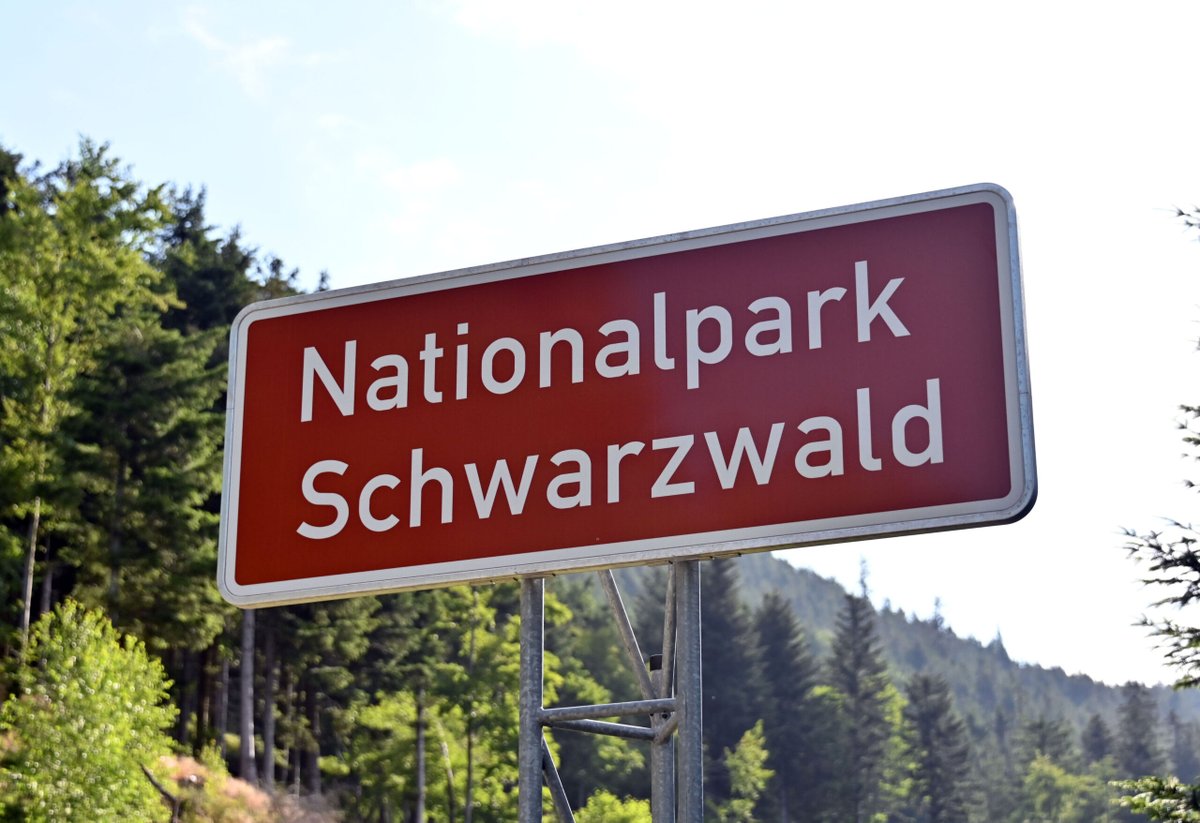 #KreisundKommune Landräte kritisieren das Vorgehen des Landes: Der Nationalpark Schwarzwald soll wie geplant erweitert werden. Die Landkreise und die Anlieger-Gemeinden fühlen sich übergangen. dlvr.it/TFwPdc