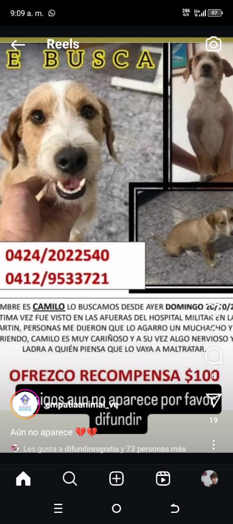 yaracalcagno's tweet photo. Se busca a Camilo. https://t.co/4TpB8wvlMS