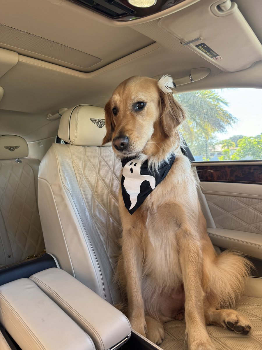 LasBrisaCarWash's tweet image. H👻ppy H👻ll🎃ween #lasbrisas #carwash  #oilchanges #halloween #celebration #candy #happyhalloween #trickortreat #kids #familytime #costume #dadecounty305 #loveislove #carcare #🎃🎃🎃 #👻👻👻 Free🚘wash💦on your Birthday🎁🎉