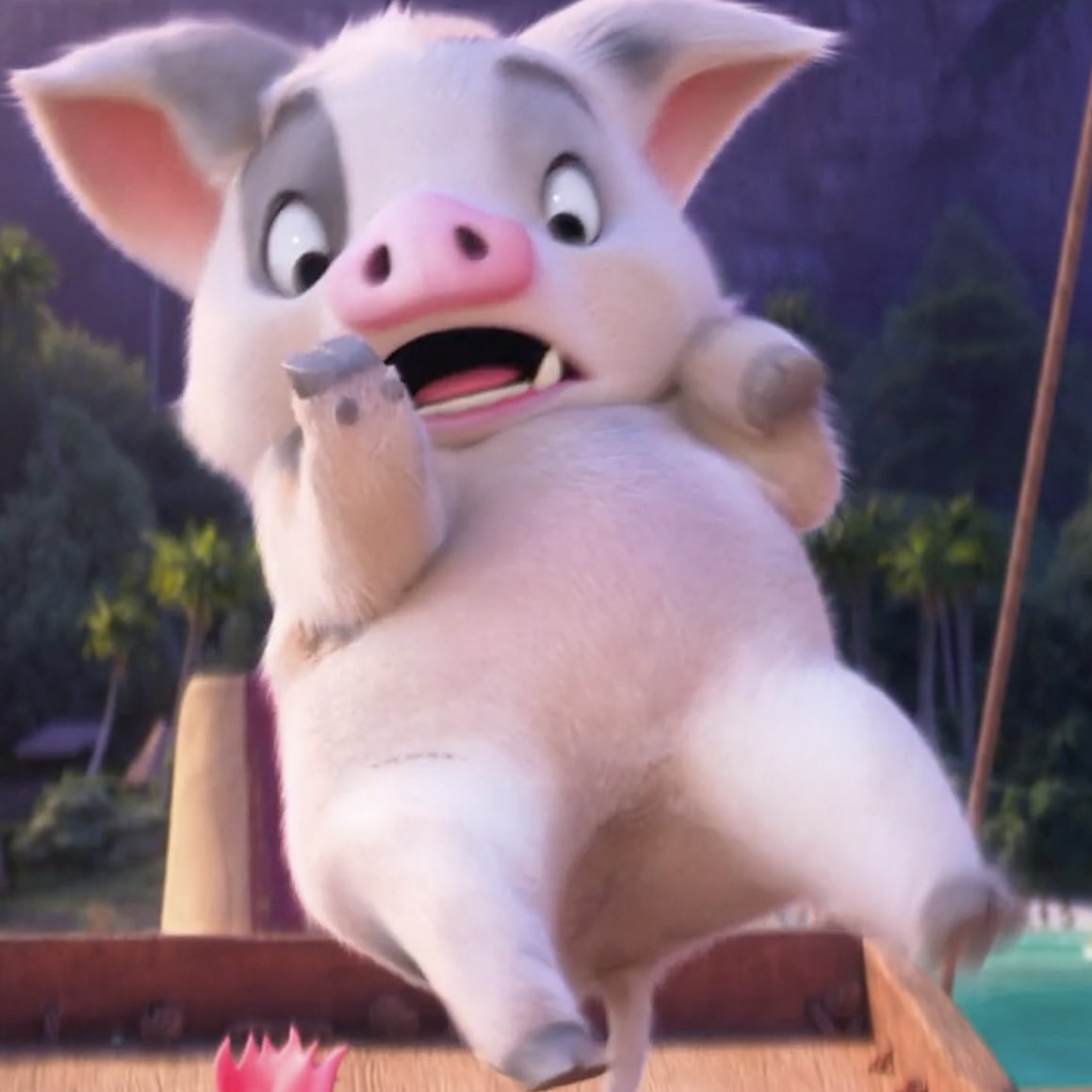 モアナ2のプアがコミカルでかわいいですね🐷