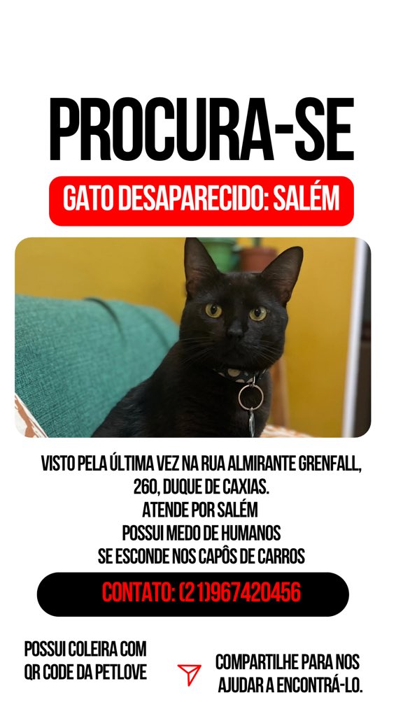 carolfribeiroo's tweet photo. Gato perdido em Duque de Caxias, Rio de Janeiro.
* #gatoperdido
* #encontrameugato
* #gatoperdido DuqueCaxias
* #procurase #gato
* #ajudameaencontrar
* #perdido #DuqueCaxias
* #animalperdido
#perdidos
#gatoperdido #DuqueCaxias https://t.co/UkGBJ1EWyy
