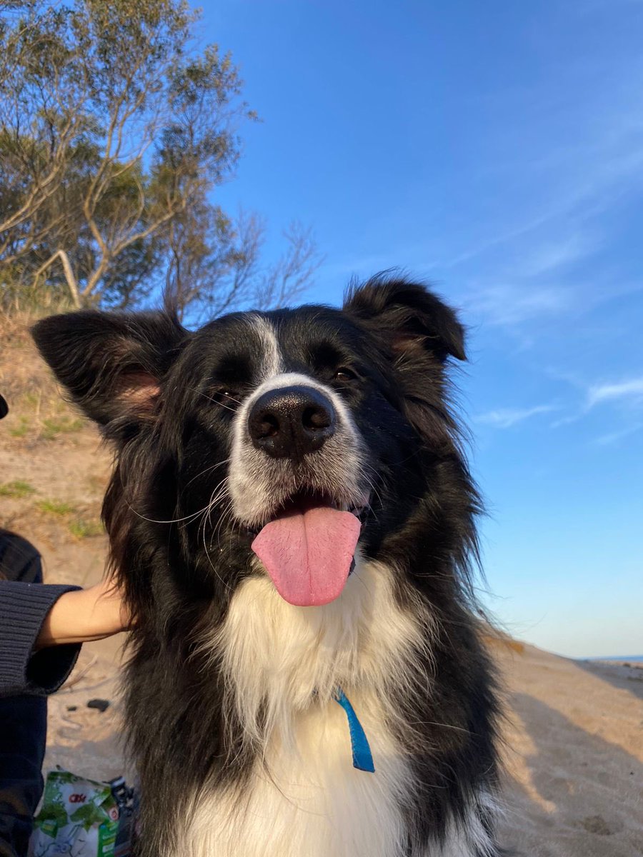 sofdelf's tweet image. #nadiedicenada 
Kubbaaaa