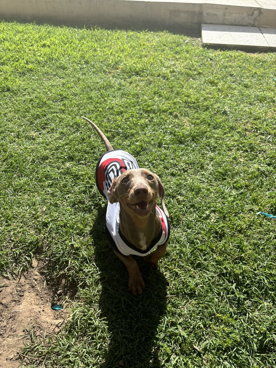 #nadiedicenada Kala 🌭