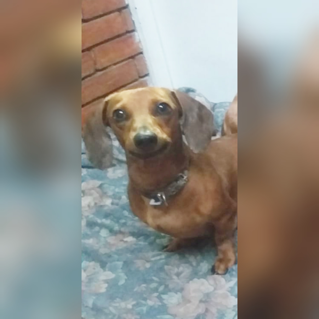 chechhfa's tweet photo. #nadiedicenada @nadiedicenada_ https://t.co/sPLo91UuZk