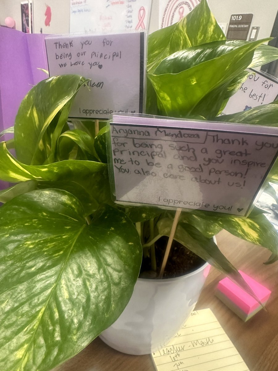 Dr. Kelli McWashington (@km_mcwashington) on Twitter photo This has been a powerful month of my purpose confirmation! Thank you Panthers! ๐
I received this beautiful plant with notes from my students! I think I cried for an hour reading these! I LOVE MY PASSION!
<a href="/MDJH_Panthers/">McDonald Junior High School</a> This has been a powerful month of my purpose confirmation! Thank you Panthers! ๐
I received this beautiful plant with notes from my students! I think I cried for an hour reading these! I LOVE MY PASSION!
<a href="/MDJH_Panthers/">McDonald Junior High School</a>