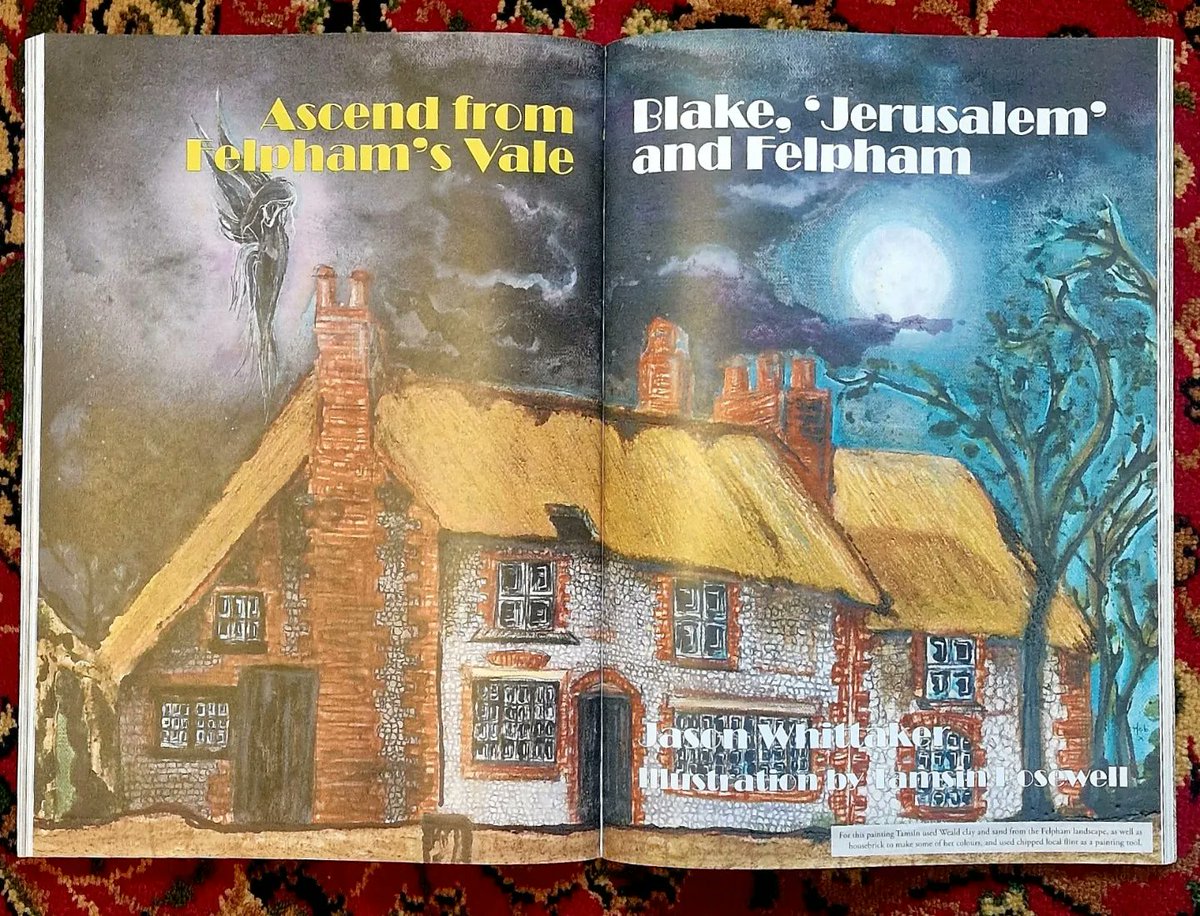 Tamsin Rosewell tweet media