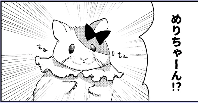 めりちゃん 