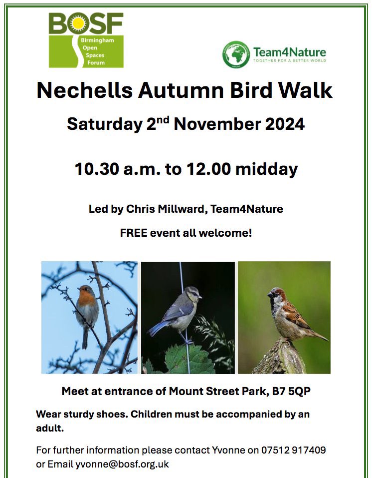 Team4Nature's tweet photo. We love working with @BOSFonline to connect more people with the fabulous @BhamCityCouncil open spaces across Birmingham!

Join us at Mount Street Park (By @StarCityCentre) this Saturday from 10:30am to enter the fascinating world of Brum’s birds!

Please share this “tweet”🐦🤠 https://t.co/622lw7ASP2