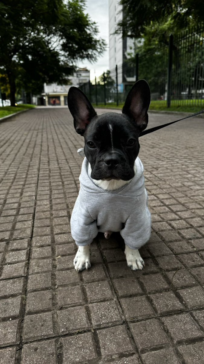 FranemiOK's tweet photo. #nadiedicenada https://t.co/QlcWZb2ohw