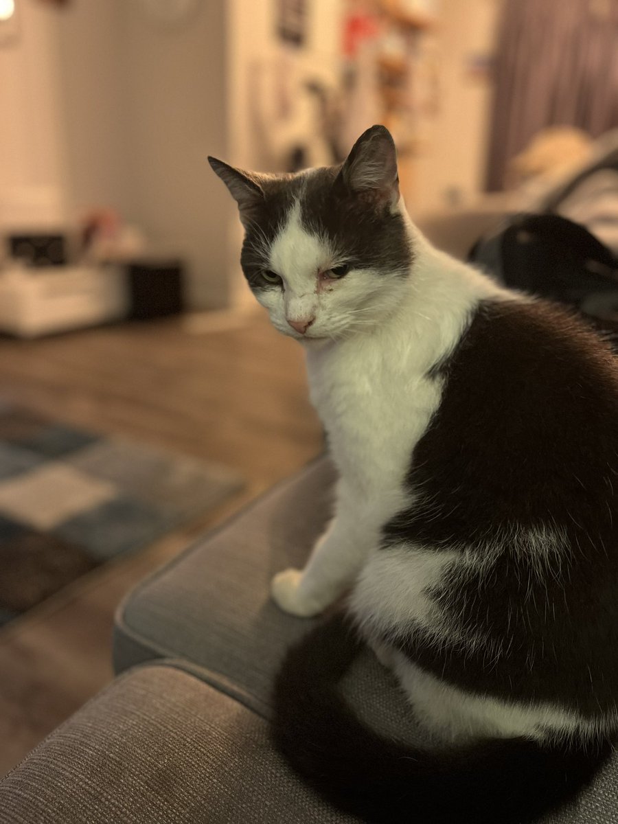 Susan Calman tweet media