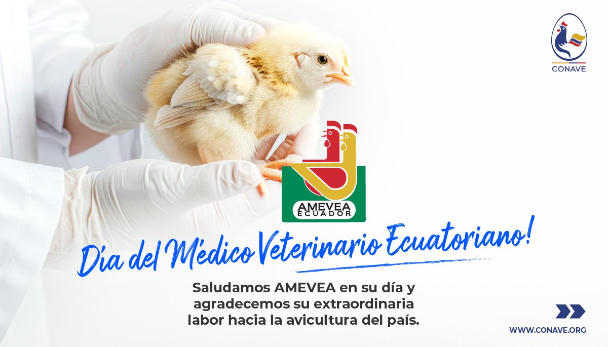 CONAVE_EC's tweet photo. Saludamos @AmeveaEcuador en su día y agradecemos su extraordinaria labor hacia la avicultura del país
#Alimentación #ListoElPollo #DeEcuadorParaElMundo #Huevos #Pollo #ProteínaDeCalidad #ProteinaViva #DiaDelVeterinario https://t.co/QLpnLQn4of