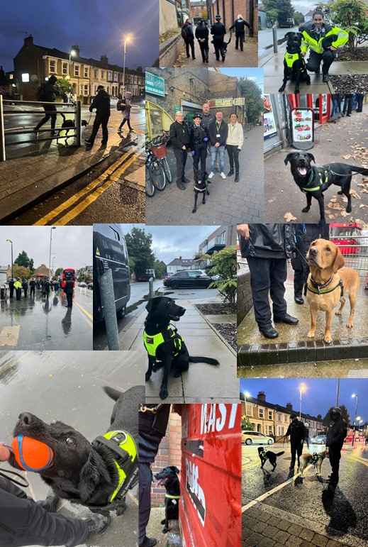 MPSWForest's tweet photo. During October officers from SNT assisted passive drug dogs at several operations across Waltham Forest for #ProjectADDER, who aim is to disrupt, prevent & tackle dug misuse, which cause ASB to local residents.
@wfcouncil https://t.co/VgVJ5lDYeR