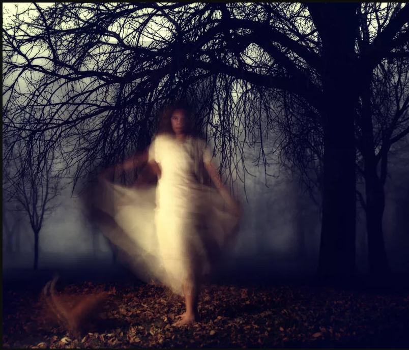 Historical Society of Old Yarmouth tweet media