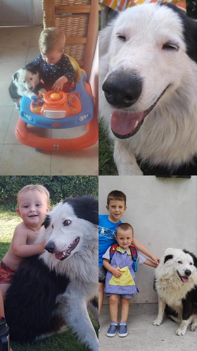 CandeRivero5's tweet photo. Nuestro hermano adoptivo Once quiere el cupón!! #nadiedicenada https://t.co/NXY9nsu9vl
