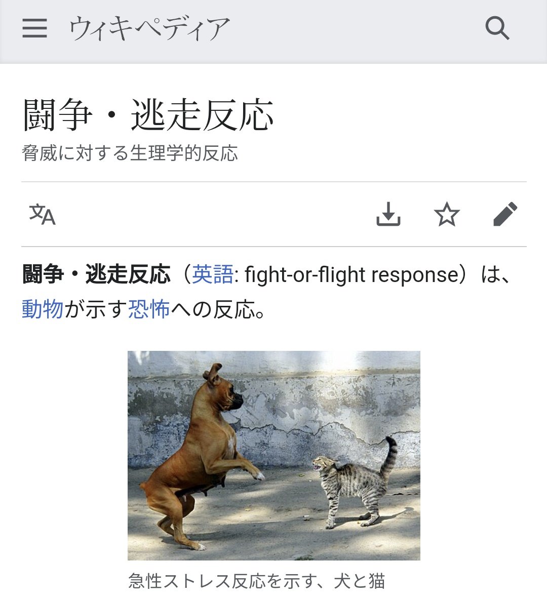 takadachandayo's tweet photo. これマジで名訳だと思う https://t.co/vtR34hVWVS