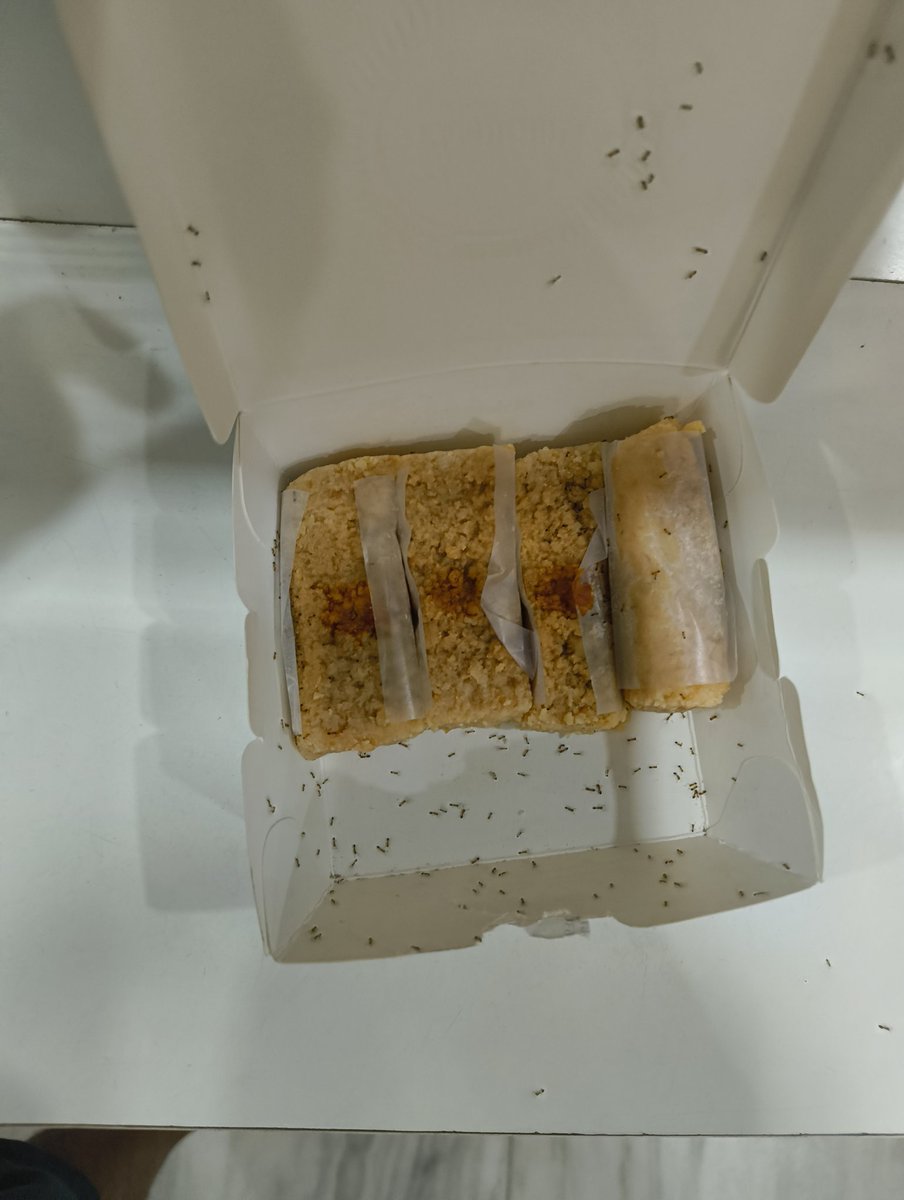 hiteshkumar05's tweet photo. @Haldiramsonline I bought milk cake and pista burfi  from paschim vihar store in morning and what I find when I open box after coming home res ant in milk cake. Do you really serving this kis sweets.Have a busy day due to Diwali else I will show you paschim vihar manager. https://t.co/G3wbBwz9Sx