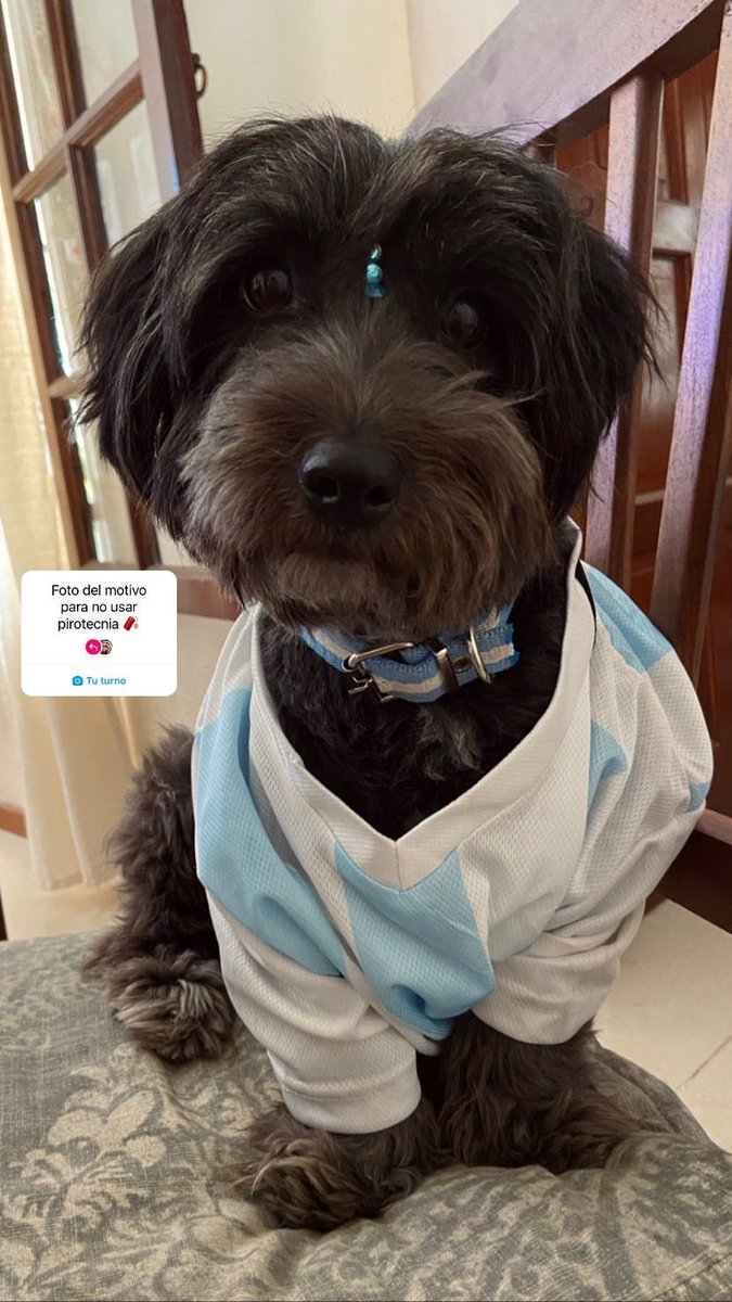 #nadiedicenada previa de la final 🇦🇷