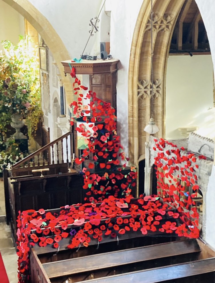 ME_Mum's tweet photo. Re-using our poppy netting each year.
2021-2024. https://t.co/6IieJ8pDH0