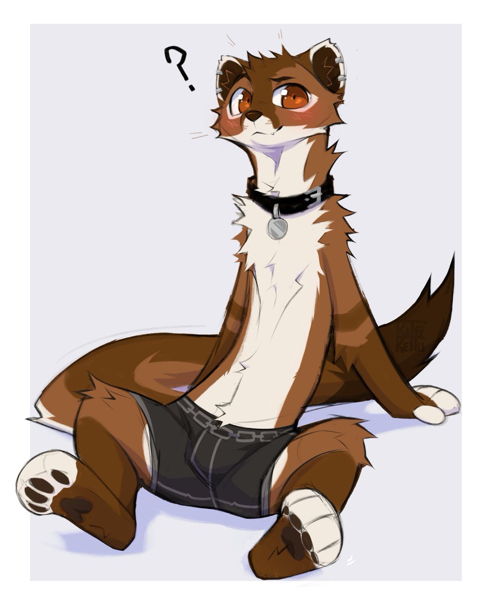 Got some oats for a stoat?