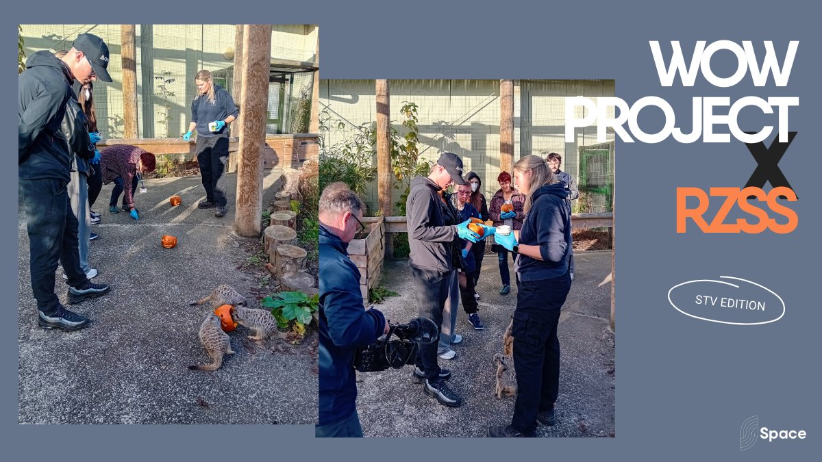 SpaceBroomhouse's tweet photo. #WOWProject members get up close &amp; personal with nature's finest, thanks to a @SpaceBroomhouse x @EdinburghZoo partnership.

The group's first foray into the zoo was captured by @STVNews, so keep an eye out for our fab team on the telly!

#EdinburghZoo #RZSS #Space #BroomhouseHub https://t.co/AXxQW68iEj