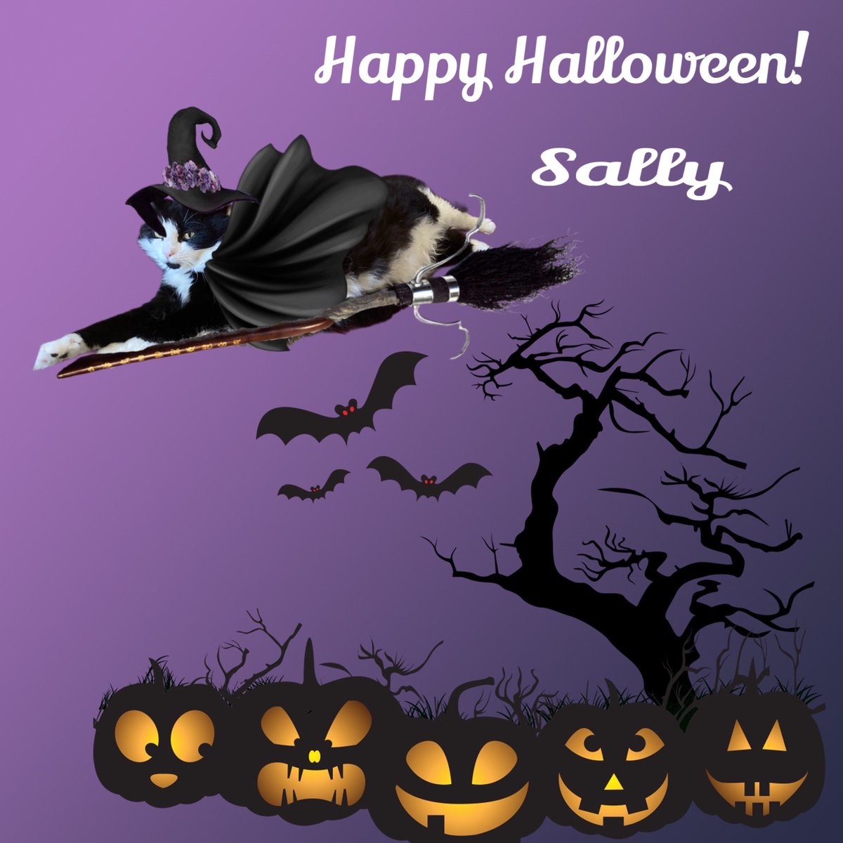 MemeCat99014509's tweet image. 🐾Meow is the time🎃
     This is the hour👻
     Ours is the 🪄 
     Ours is the power🐾
        “The Craft 🎥”

   🧡HAPPY MEOWOLWEEN!🖤
              🐾🖤🤍~Sally🧙‍♀️🧹
    (I 🤔 Meme has me on a HP 🧹)😹
 
#CatsOfX #CatsOfTwitter #HalloweenCats #WitchCats #CatsAreFamily #Cats