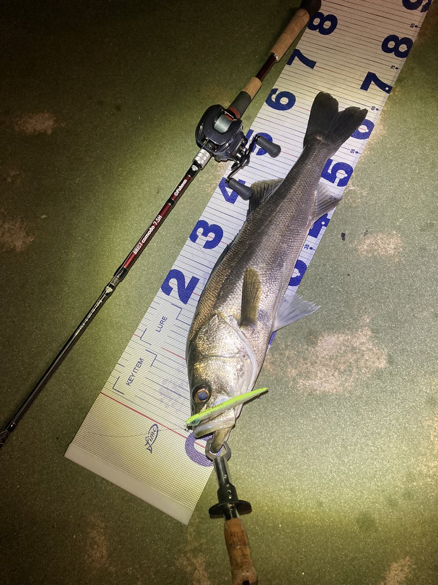 yosyoku_fishing's tweet photo. 仕事が長引き短時間釣行ってことで、近くのポイントをぱぱっと回って2本
三脚物撮り難しすぎ、みんなどうとってるんだ
#Fishman #comodo75H
#邪道 #Envy125Max
#DAIWA #IMZ https://t.co/LhfFsoMuhk