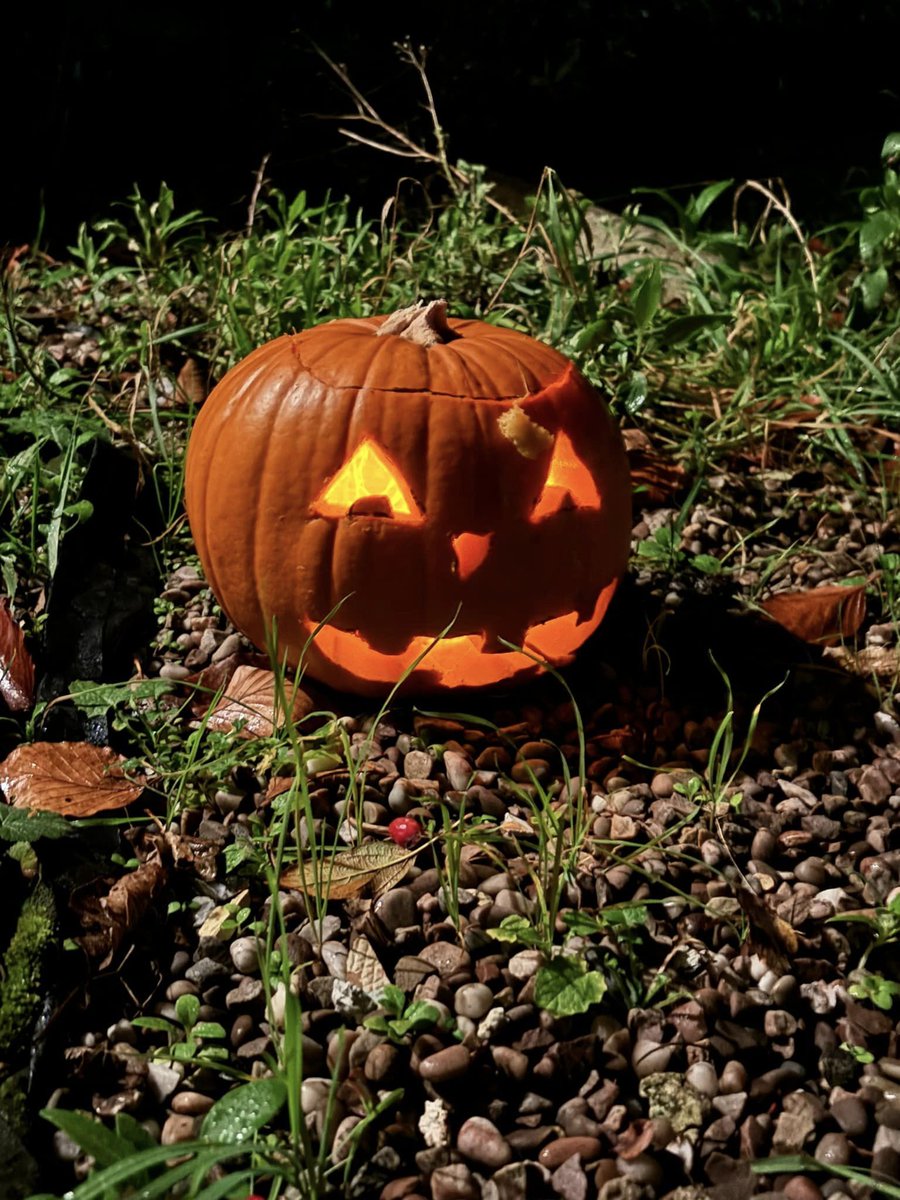 The People We Support have been getting into the #Halloween2024 spirit with some fantastic #pumpkincarving; everyone showed amazing focus and artistic flair! These are now lighting up our site!

Everybody really enjoyed this activity &amp; would like to wish you a #HappyHalloween