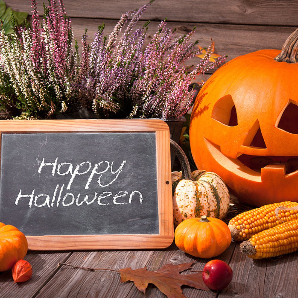 NARVRentals's tweet photo. 🎃Happy Halloween from the Teams at North Atlanta RV Rentals!🎃 https://t.co/DKAlUAoRef