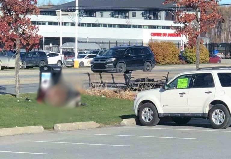 MaxDelandQMI's tweet photo. Anulingus en public à Val-d'Or: La SQ a ouvert une enquête criminelle et recherche des témoins qui ont vu les actions indécentes posées par un couple en bordure de l'avenue la plus achalandée de la ville, lundi en plein jour. https://t.co/3hTPmzvfTT