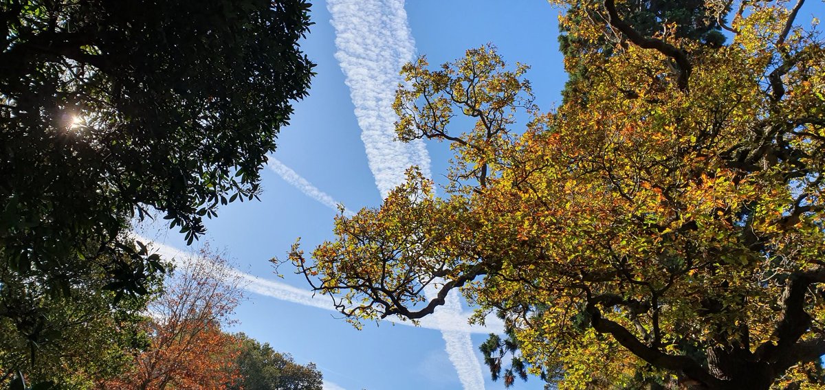 Read all about it. The latest biodiversity newsletter4 <a href="/KingstonUni/">Kingston University</a>
Dropped yesterday tinyurl.com/47rk4ysz
Plus I forgot to put in some info on COP16 which is underway. tinyurl.com/ysnn899y while governments may be listening more, join us on the <a href="/MarchforWater/">March for Clean Water</a> on Sunday