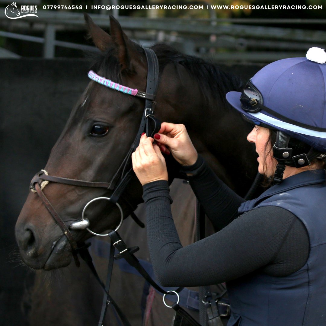 Roguesracing_'s tweet photo. Rogue Sensation with her regular rider and groom Mia Miller during morning exercise at Ed Bethell Racing.
#horseraces #roguesgalleryracing #ownershipopportunity #sharesavailable #racehorse #joinrogues #horsesyndicate #edbethell #racingpartnership #ukhorseracing #availableshares https://t.co/bJHvql3o7s