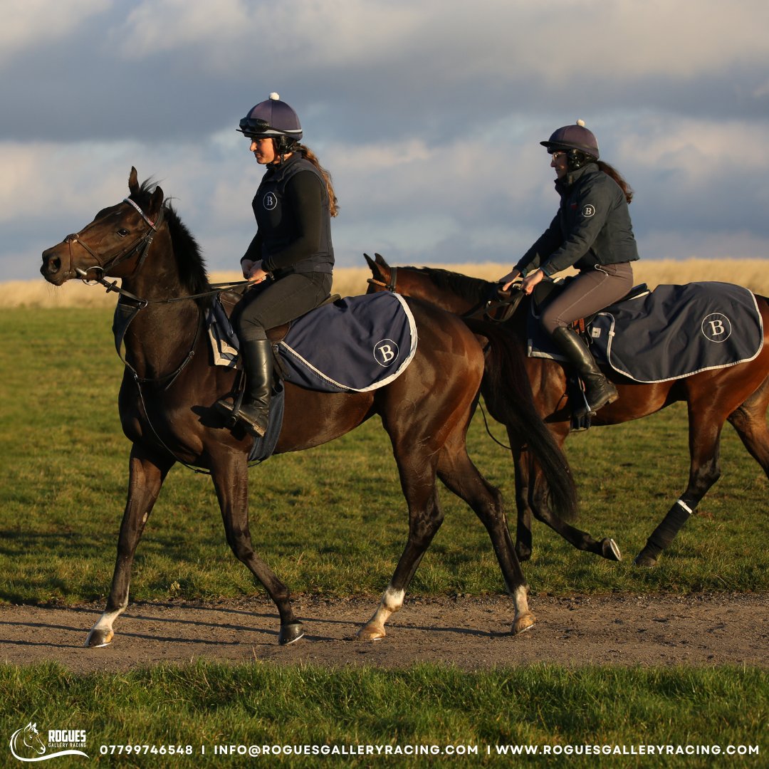 Roguesracing_'s tweet photo. Rogue Sensation with her regular rider and groom Mia Miller during morning exercise at Ed Bethell Racing.
#horseraces #roguesgalleryracing #ownershipopportunity #sharesavailable #racehorse #joinrogues #horsesyndicate #edbethell #racingpartnership #ukhorseracing #availableshares https://t.co/bJHvql3o7s