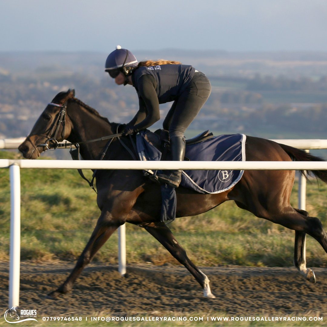 Roguesracing_'s tweet photo. Rogue Sensation with her regular rider and groom Mia Miller during morning exercise at Ed Bethell Racing.
#horseraces #roguesgalleryracing #ownershipopportunity #sharesavailable #racehorse #joinrogues #horsesyndicate #edbethell #racingpartnership #ukhorseracing #availableshares https://t.co/bJHvql3o7s