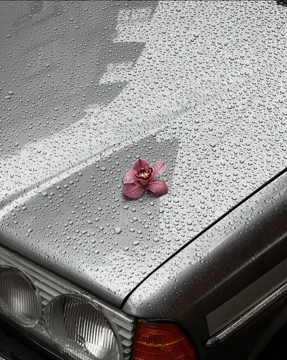 under wild tree (@innergirldump) on Twitter photo 