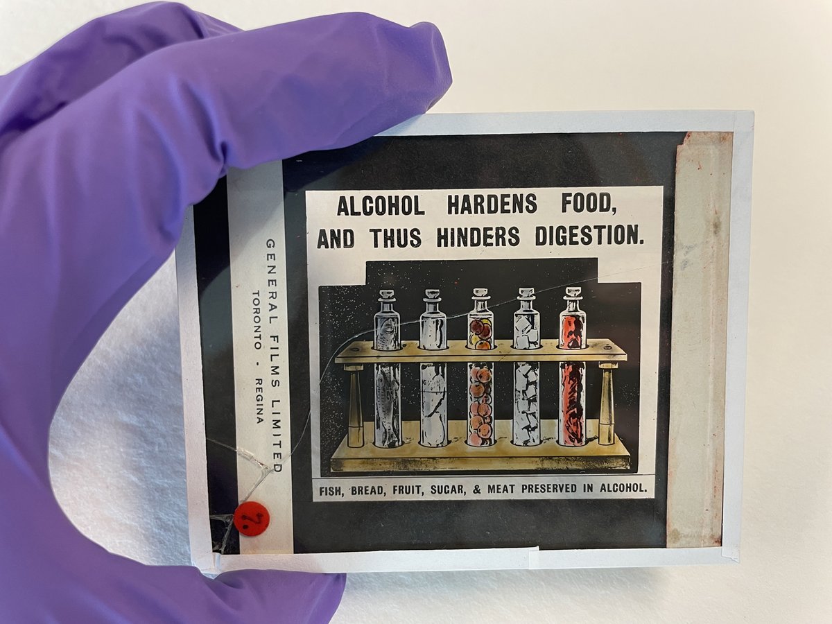 💪📦 Scarier than Halloween, tackling an #ArchivesBacklog takes a team effort! Archivists Simon and Rachel teamed up with conservators Adriane and Krystal and intern Sam to process 100+ boxes from the Canadian Woman's Christian Temperance Union, including fragile lantern slides.