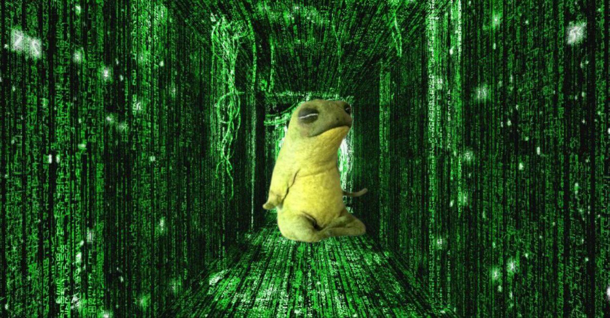 <a href="/cozypront/">Cozy ⓣhe Caller 🔥💃🏻</a> $boga need more powa