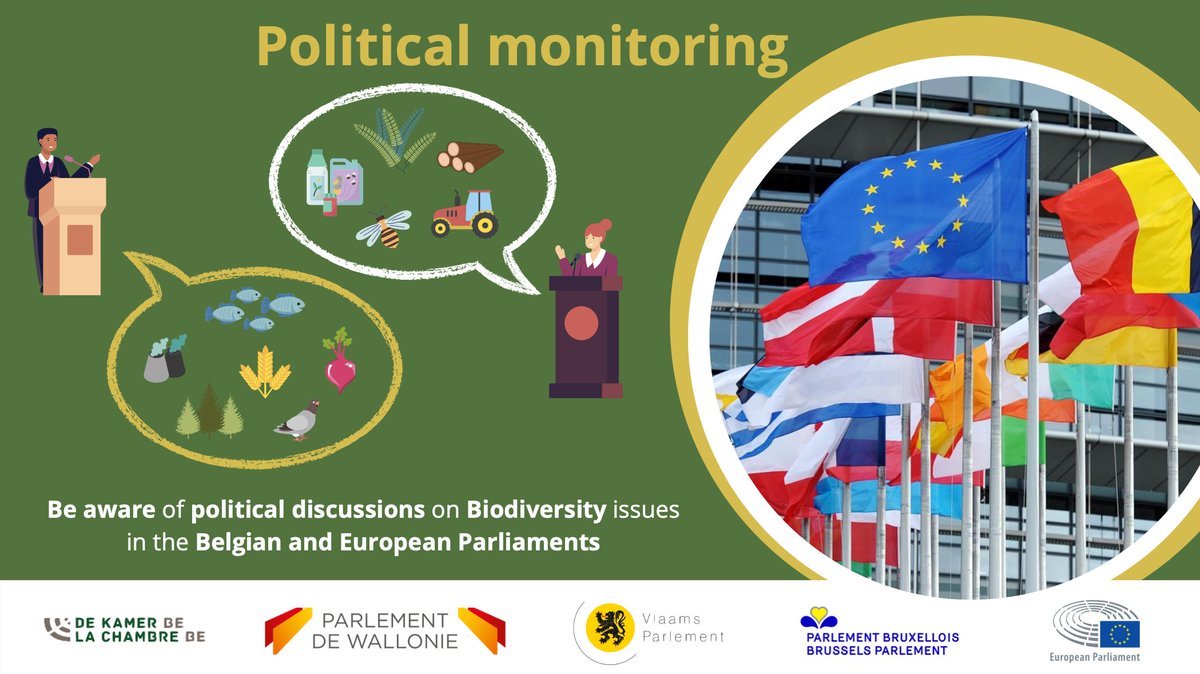 📣Political monitoring of October 2024 is out !  Discover #biodiversity discussions in 🇧🇪and 🇪🇺 parliaments

#COP16 #wolf #pollution #agriculture 🪲🌱🐺🌾🚯

👉bit.ly/3Ca6XdF

<a href="/EUparliament/">European Parliament</a> <a href="/KhattabiZakia/">Zakia Khattabi</a> <a href="/PaulVanTigchelt/">Paul Van Tigchelt</a> <a href="/AnneC_Dalcq/">Dalcq Anne-Catherine</a> <a href="/jobrouns1/">Jo Brouns</a> <a href="/alainmaron/">Alain Maron 🌍🌻</a>