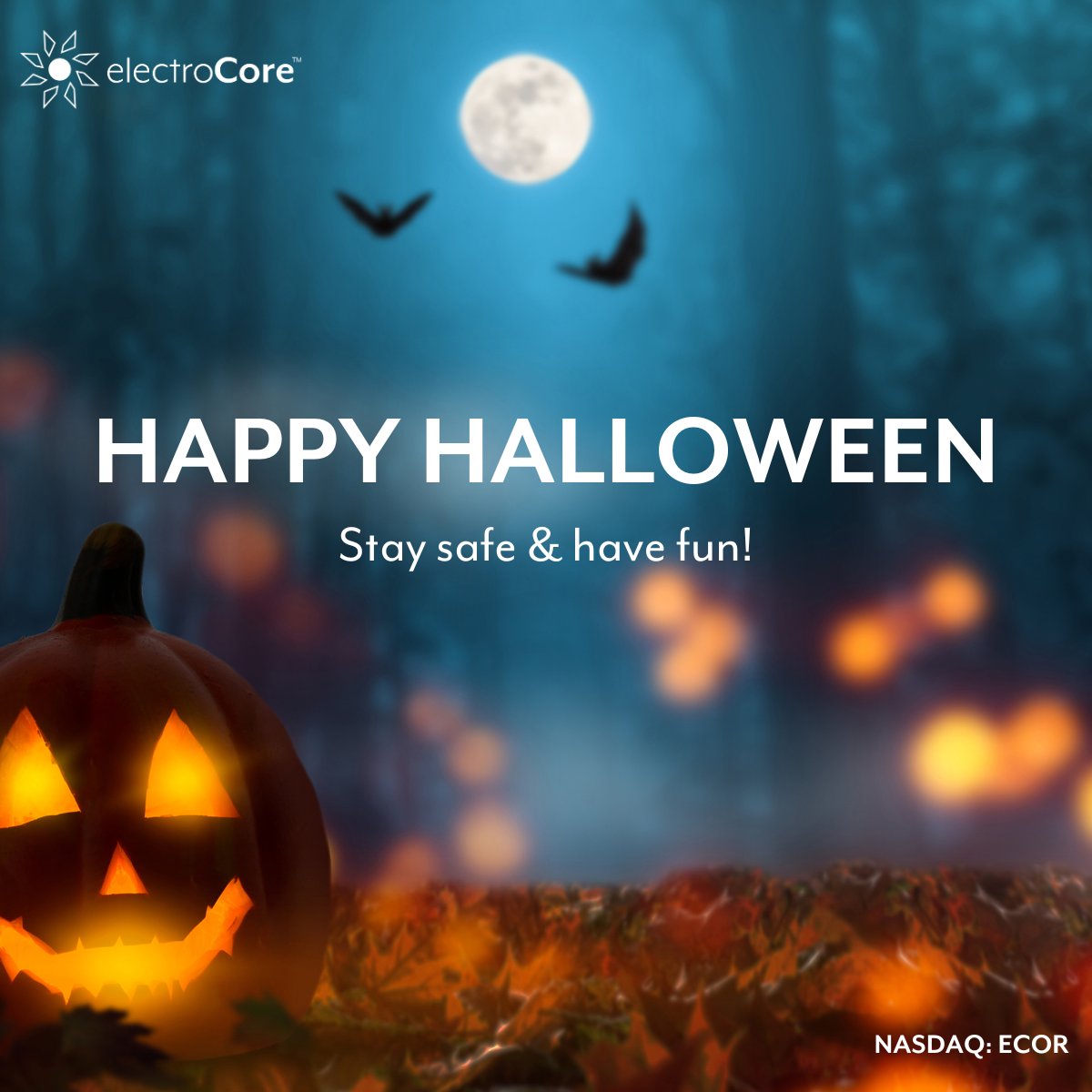 ElectroCoreVNS's tweet image. Happy Halloween! Have a spooktacular day! 🎃👻  

#HappyHalloween #electroCore